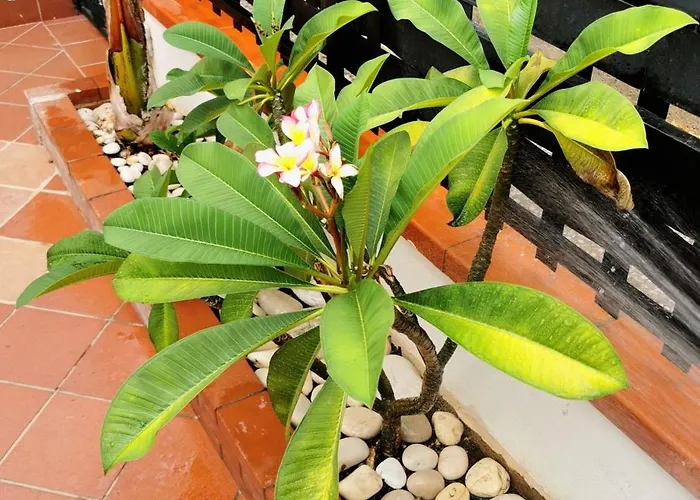 Casa Antigone 99 Mondello